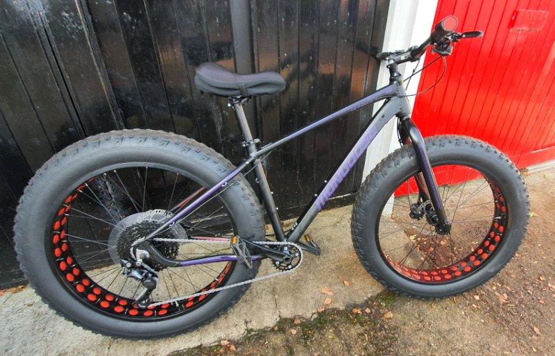 fat bike gumtree